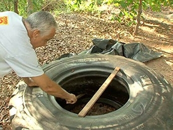 Pneu  utilizado em treinamento esportivo no parque