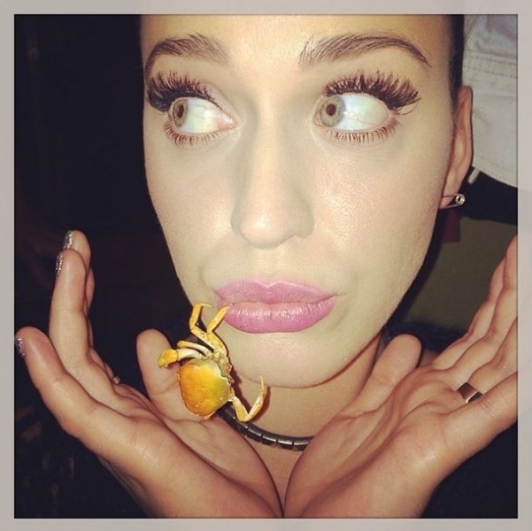 Katy Perry com carangueijo na boca