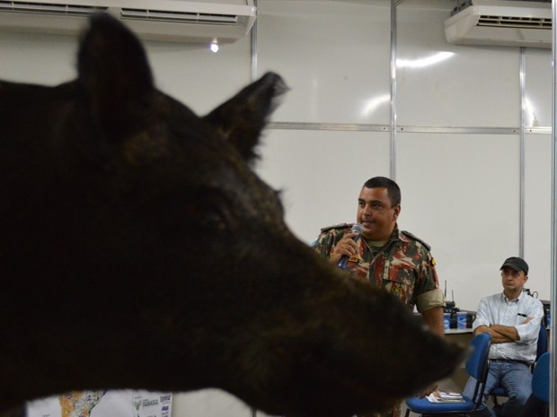 PMA levou javali empalhado, recolhido em MS, para palestra do major