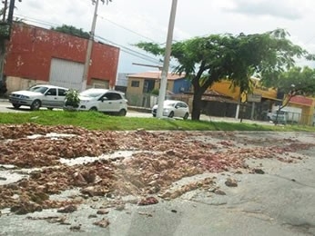 Caminho derrubou pedaos de carne na Avenida Beira Rio em Cuiab