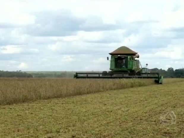 Produtores rurais de Mato Grosso do Sul j colheram cerca de 1,5 milho de hectares cultivados com soja