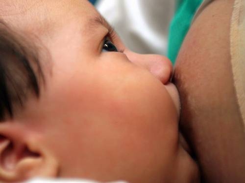 Benefcios do leite materno foram questionados em pesquisa americana, apesar de a mesma evidenciar que crianas que haviam sido amamentadas tinham melhor desempenho em 8 de 11 indicadores